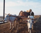ourissa_061