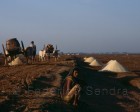 ourissa_063