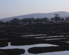 ourissa_072
