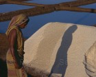 ourissa_078