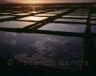 ourissa_079