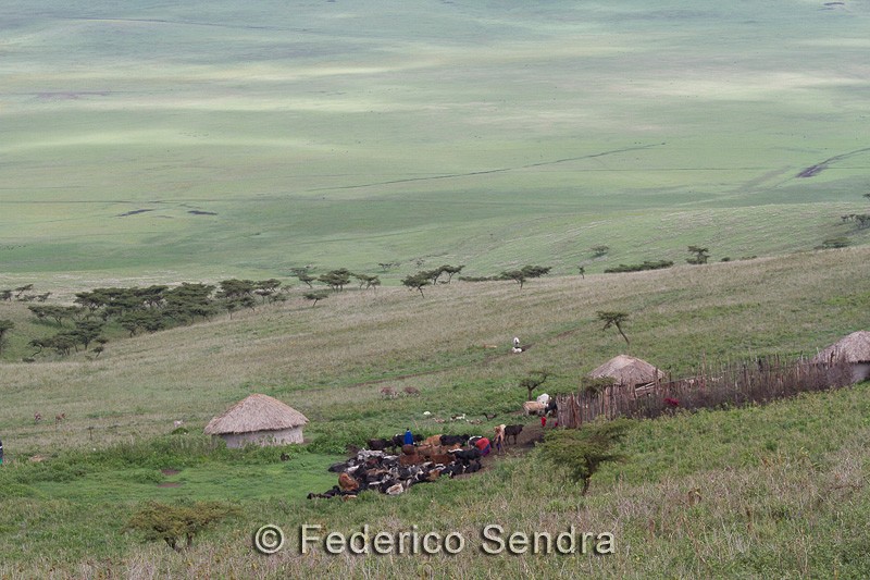 tanzanie_paysages_ngorongoro_103