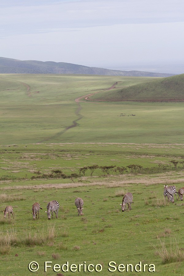 tanzanie_paysages_ngorongoro_105
