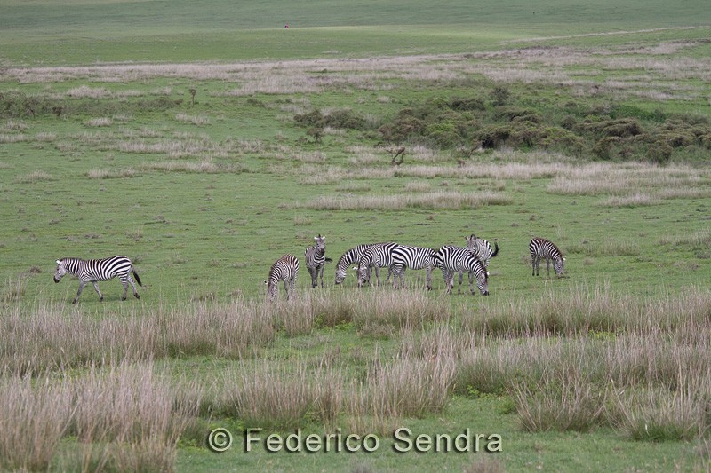tanzanie_paysages_ngorongoro_106