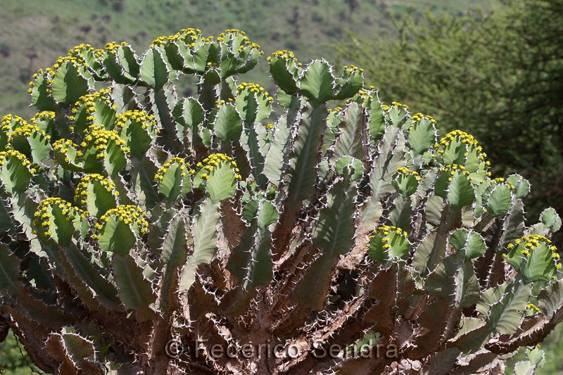 tanzanie_paysages_ngorongoro_107