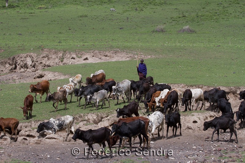 tanzanie_paysages_ngorongoro_108