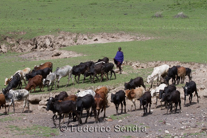 tanzanie_paysages_ngorongoro_109