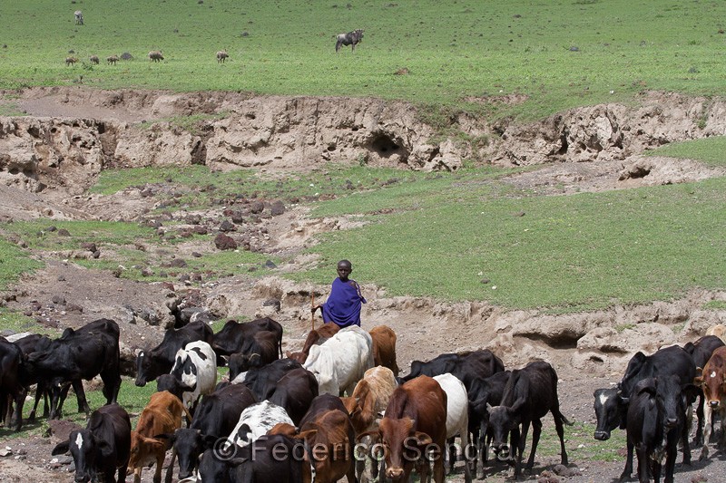 tanzanie_paysages_ngorongoro_110