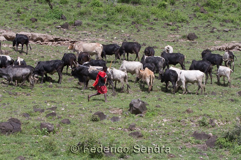 tanzanie_paysages_ngorongoro_112