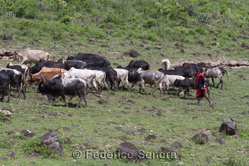 tanzanie_paysages_ngorongoro_113