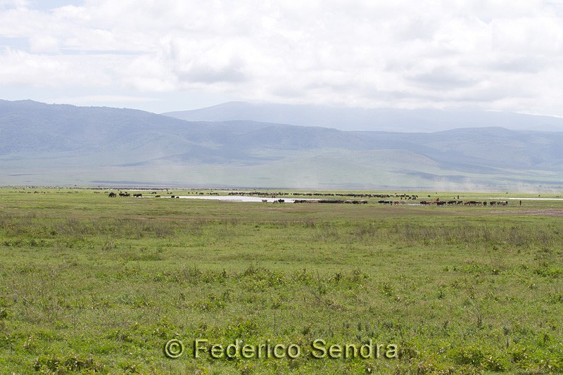 tanzanie_paysages_ngorongoro_114