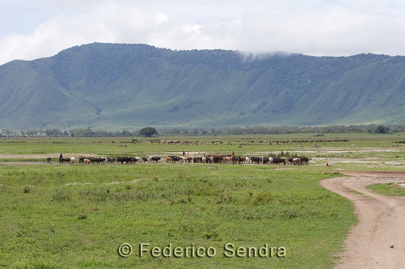 tanzanie_paysages_ngorongoro_115
