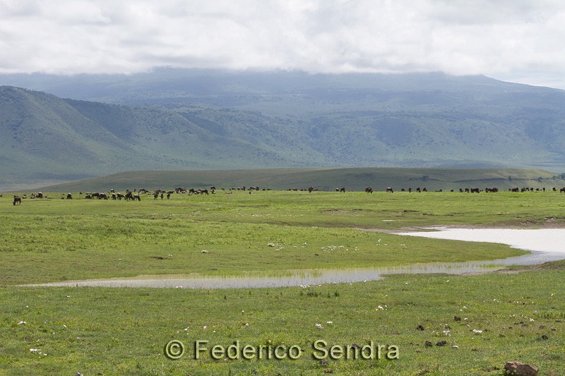 tanzanie_paysages_ngorongoro_116