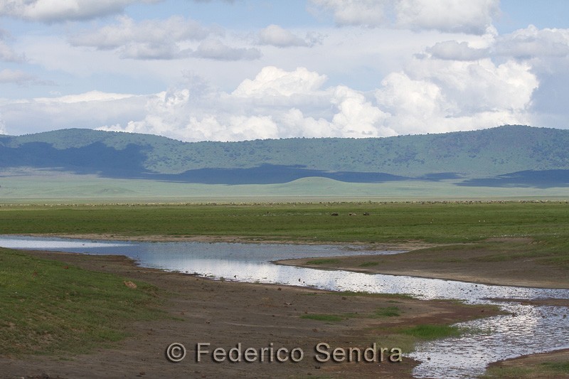 tanzanie_paysages_ngorongoro_119