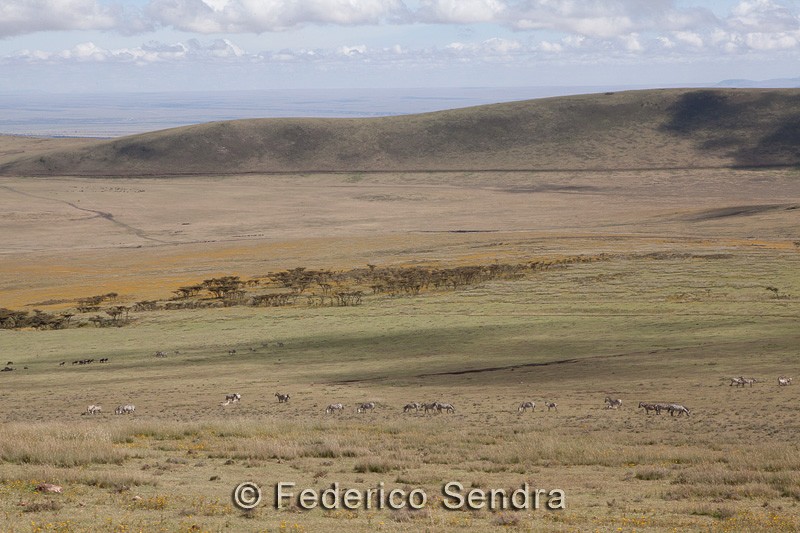 tanzanie_paysages_ngorongoro_120