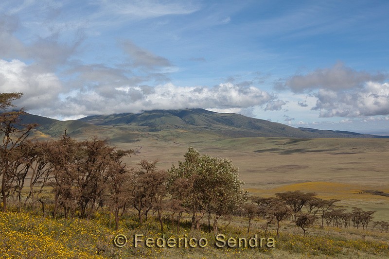 tanzanie_paysages_ngorongoro_121