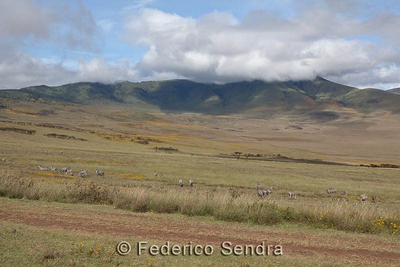 tanzanie_paysages_ngorongoro_122