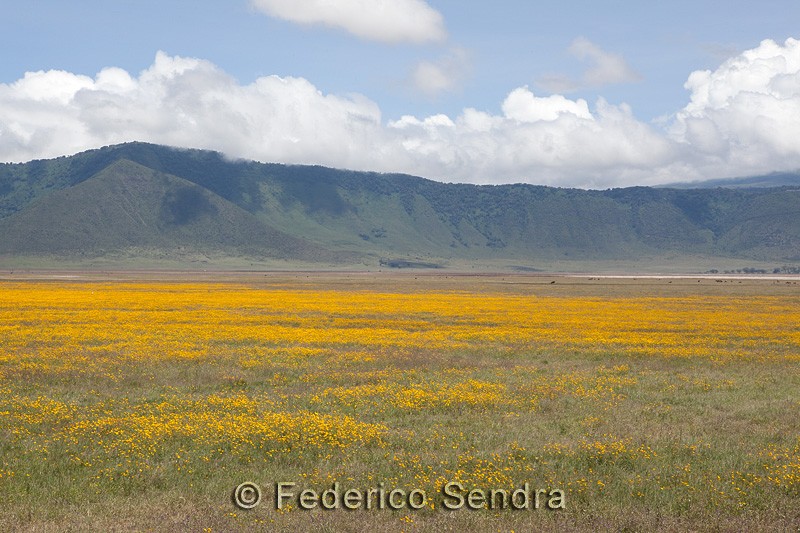 tanzanie_paysages_ngorongoro_125