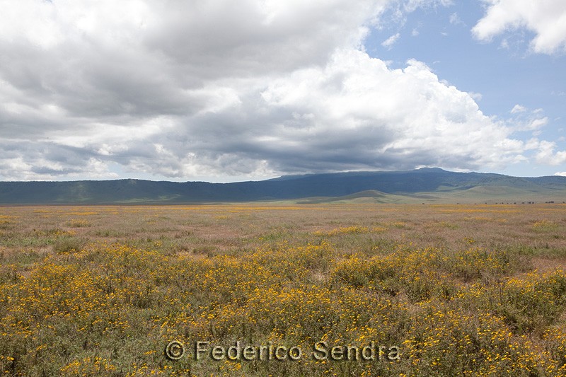 tanzanie_paysages_ngorongoro_126