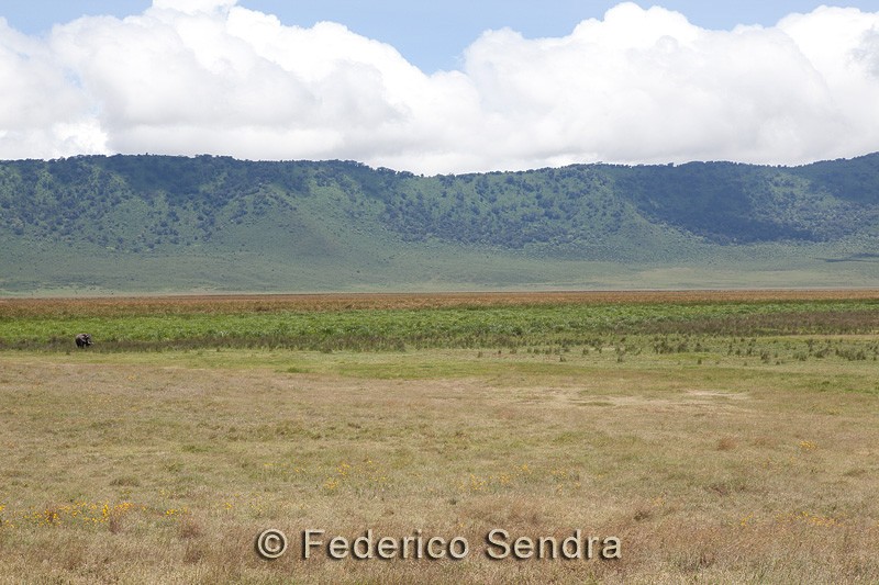 tanzanie_paysages_ngorongoro_127