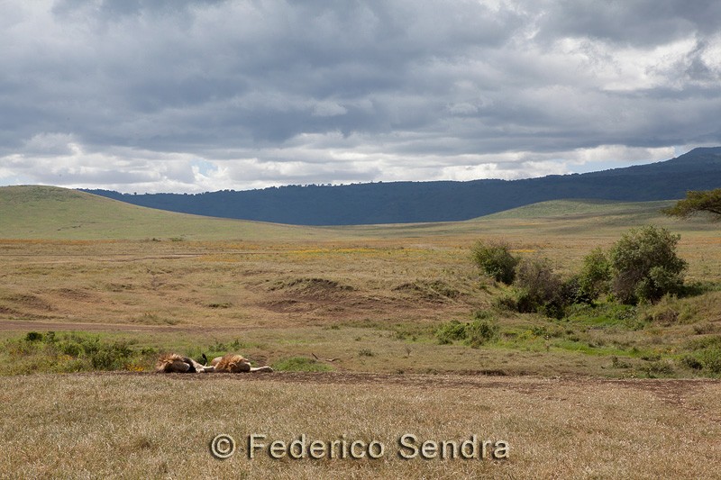 tanzanie_paysages_ngorongoro_128