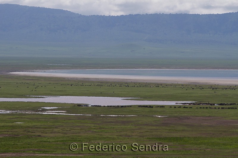 tanzanie_paysages_ngorongoro_131