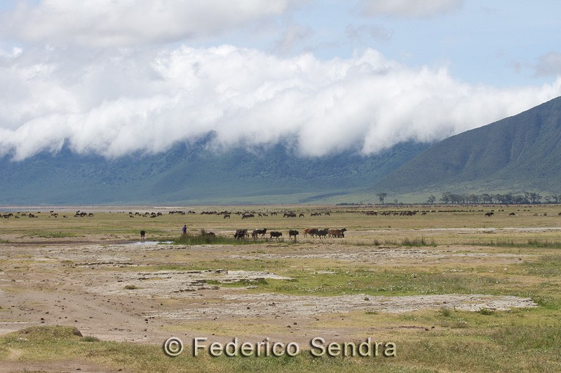 tanzanie_paysages_ngorongoro_141