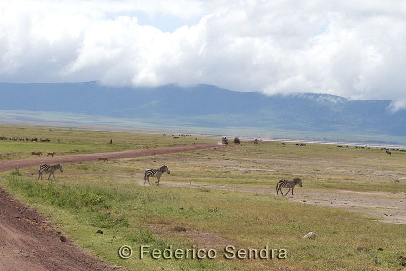 tanzanie_paysages_ngorongoro_142