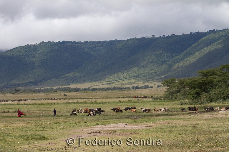 tanzanie_paysages_ngorongoro_143