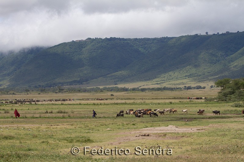 tanzanie_paysages_ngorongoro_144