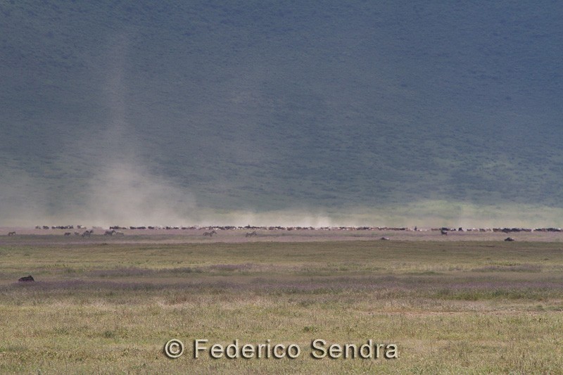 tanzanie_paysages_ngorongoro_145