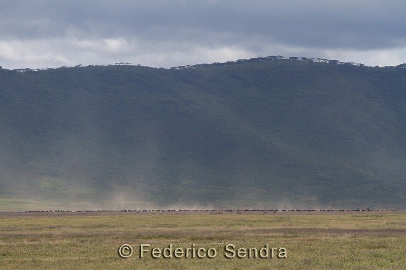 tanzanie_paysages_ngorongoro_146