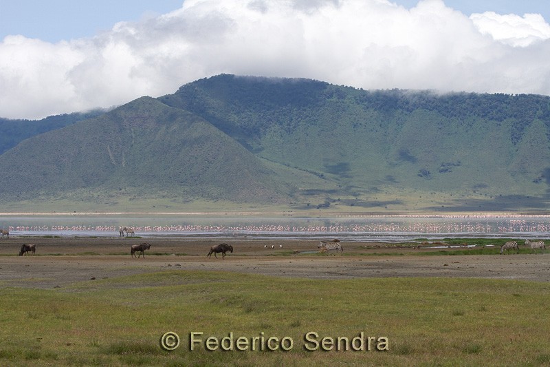 tanzanie_paysages_ngorongoro_147