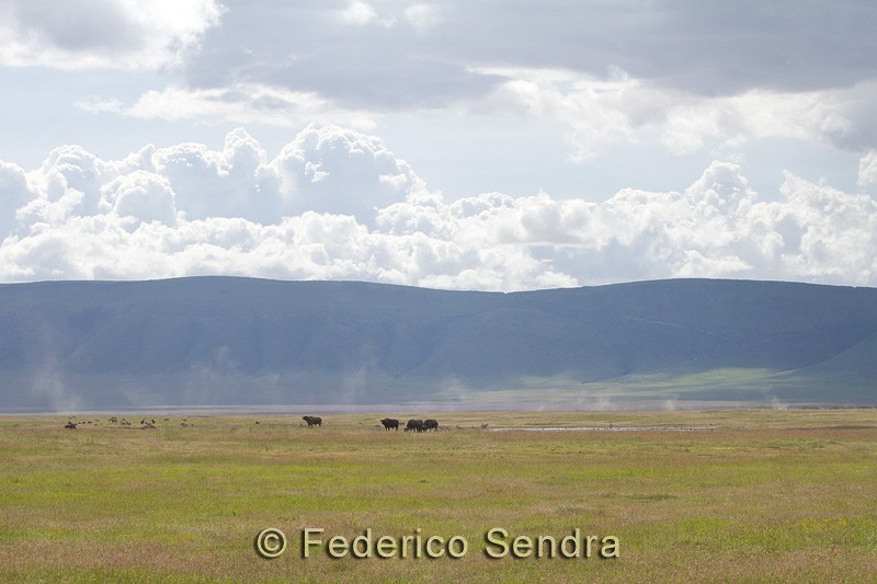 tanzanie_paysages_ngorongoro_148