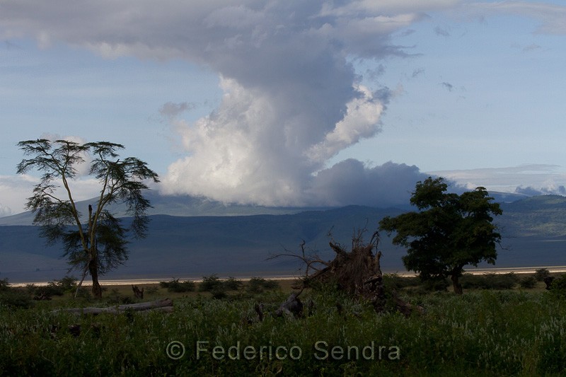 tanzanie_paysages_ngorongoro_149