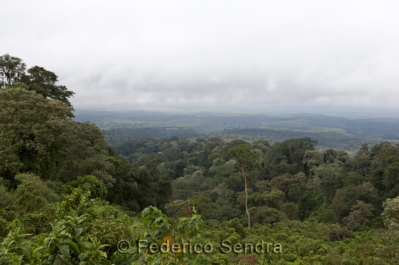 tanzanie_paysages_ngorongoro_151