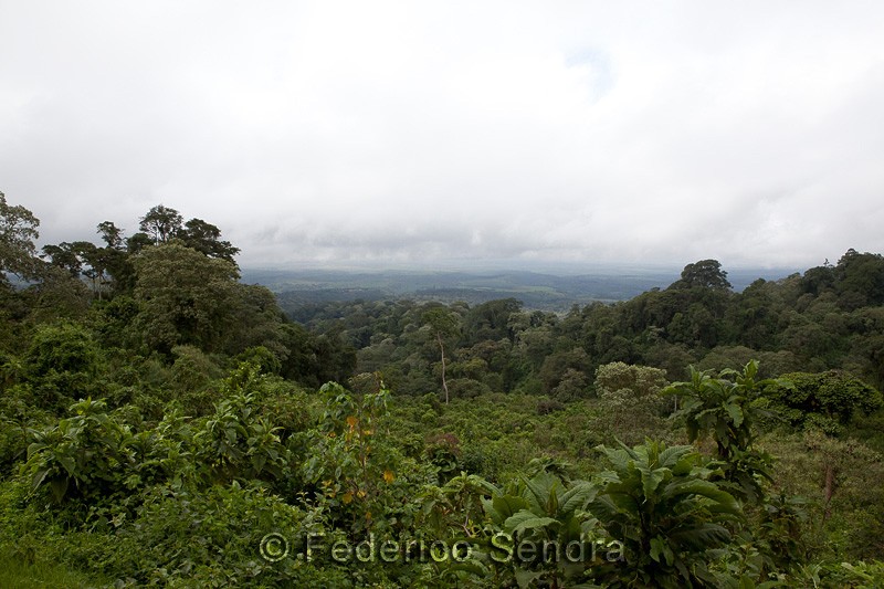 tanzanie_paysages_ngorongoro_152