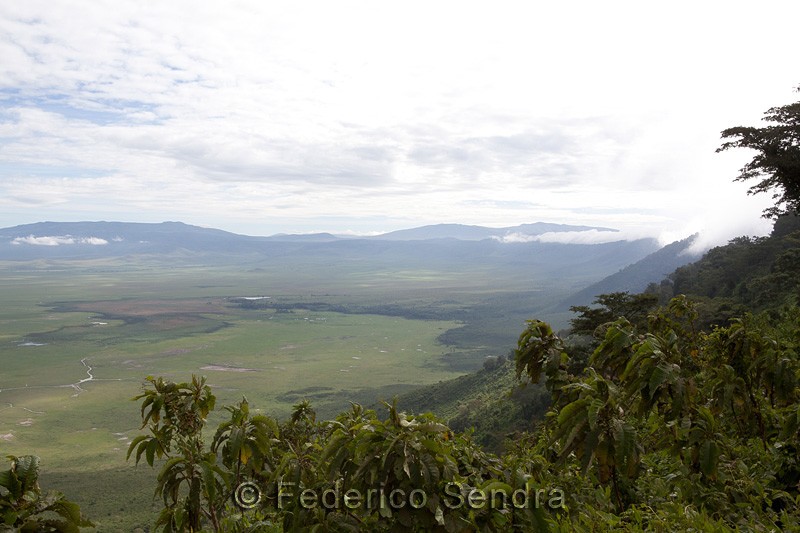 tanzanie_paysages_ngorongoro_153