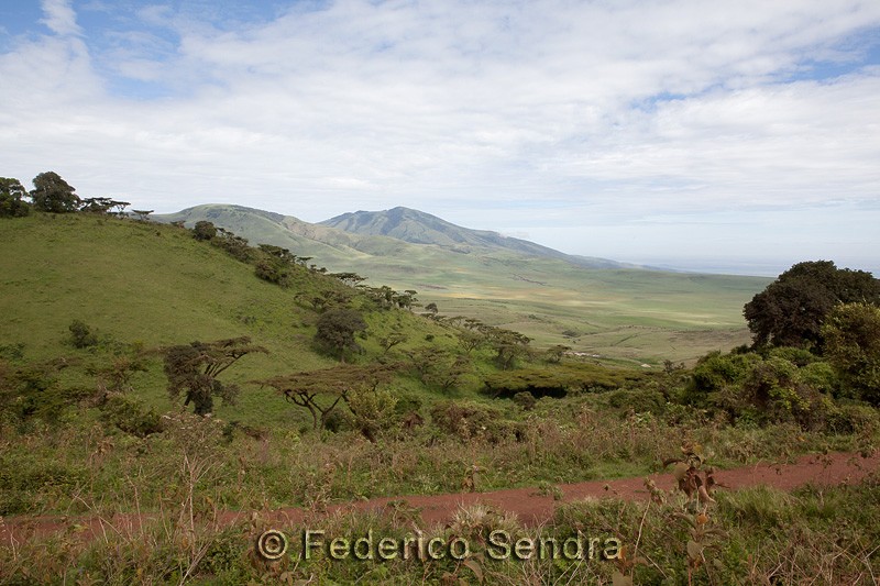 tanzanie_paysages_ngorongoro_158