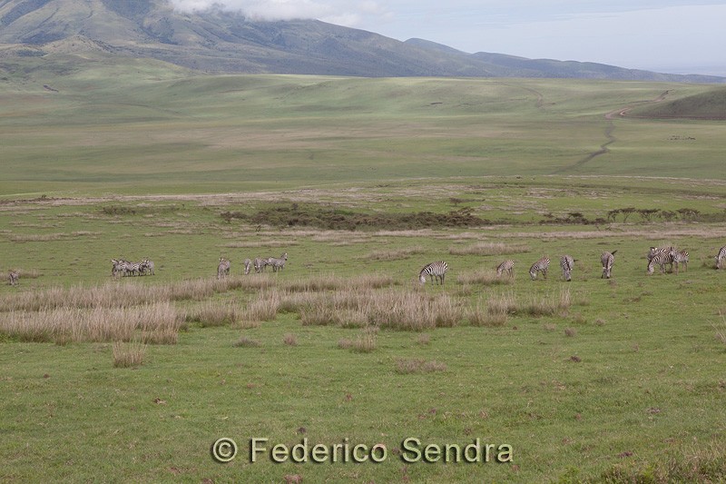 tanzanie_paysages_ngorongoro_161