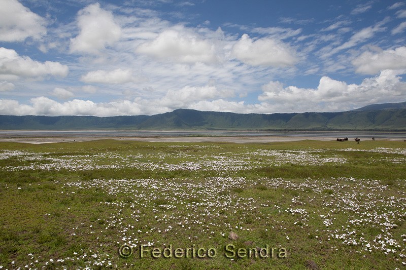 tanzanie_paysages_ngorongoro_167