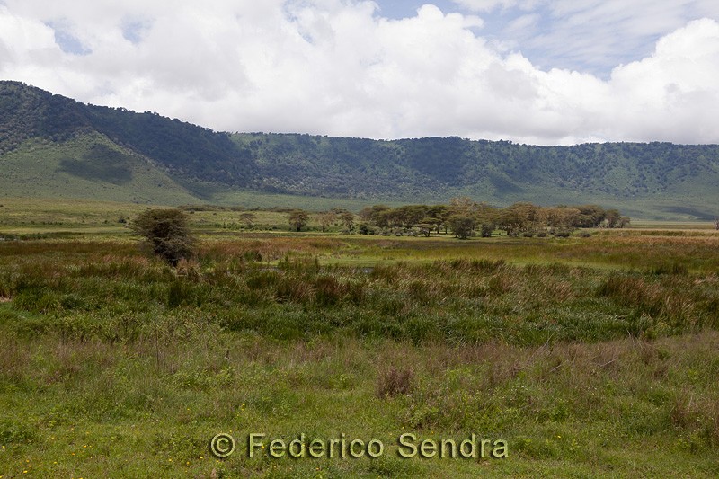 tanzanie_paysages_ngorongoro_168