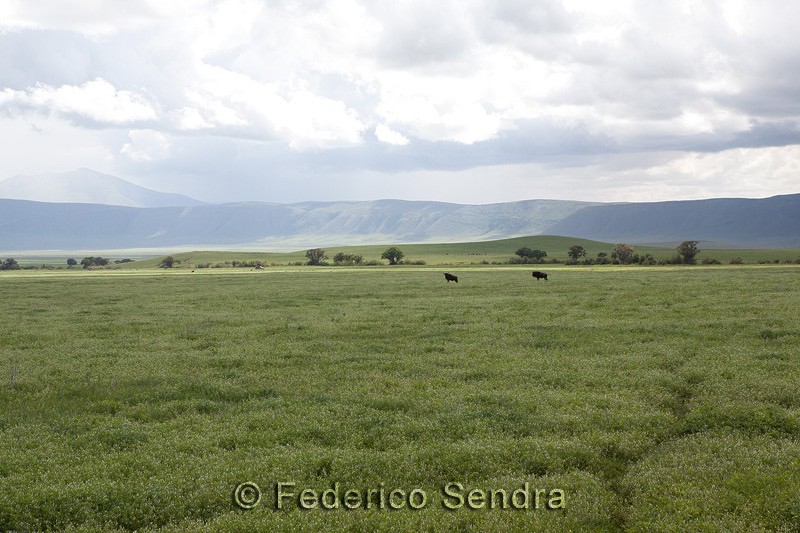 tanzanie_paysages_ngorongoro_170