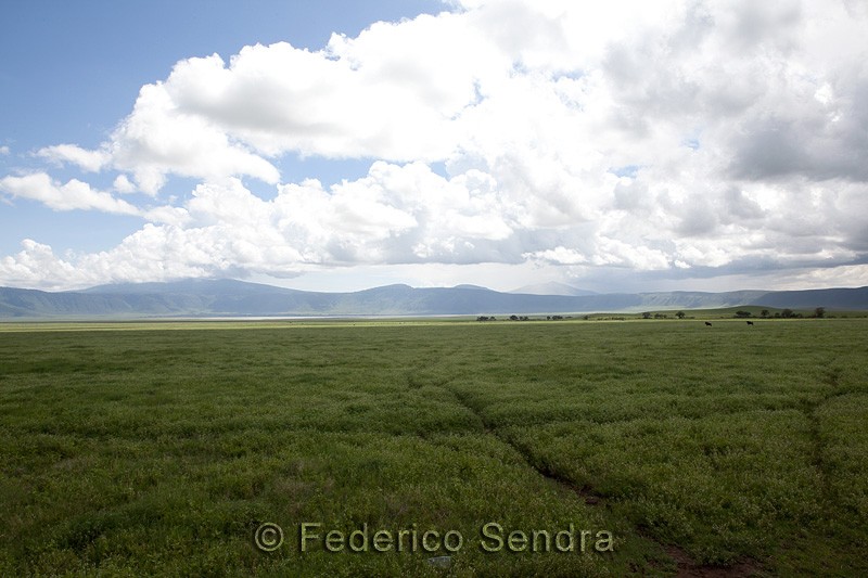tanzanie_paysages_ngorongoro_171