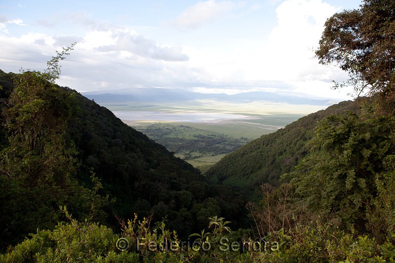 tanzanie_paysages_ngorongoro_174
