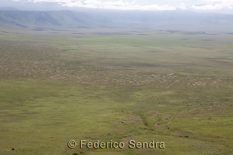 tanzanie_paysages_ngorongoro_189