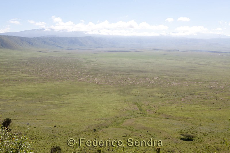 tanzanie_paysages_ngorongoro_190