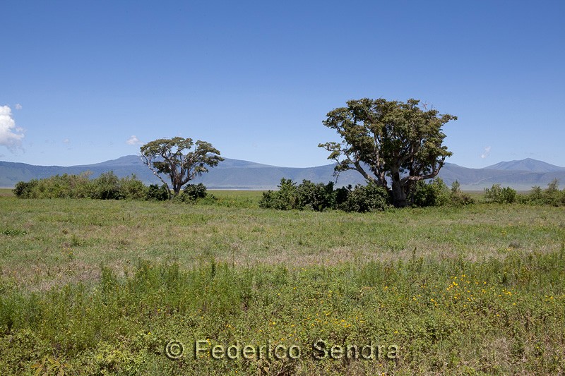 tanzanie_paysages_ngorongoro_192