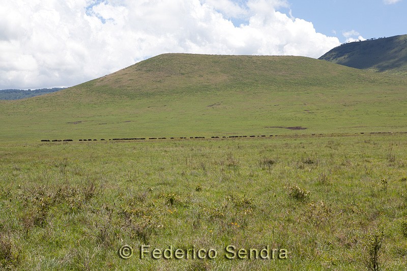 tanzanie_paysages_ngorongoro_193