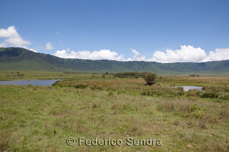 tanzanie_paysages_ngorongoro_195